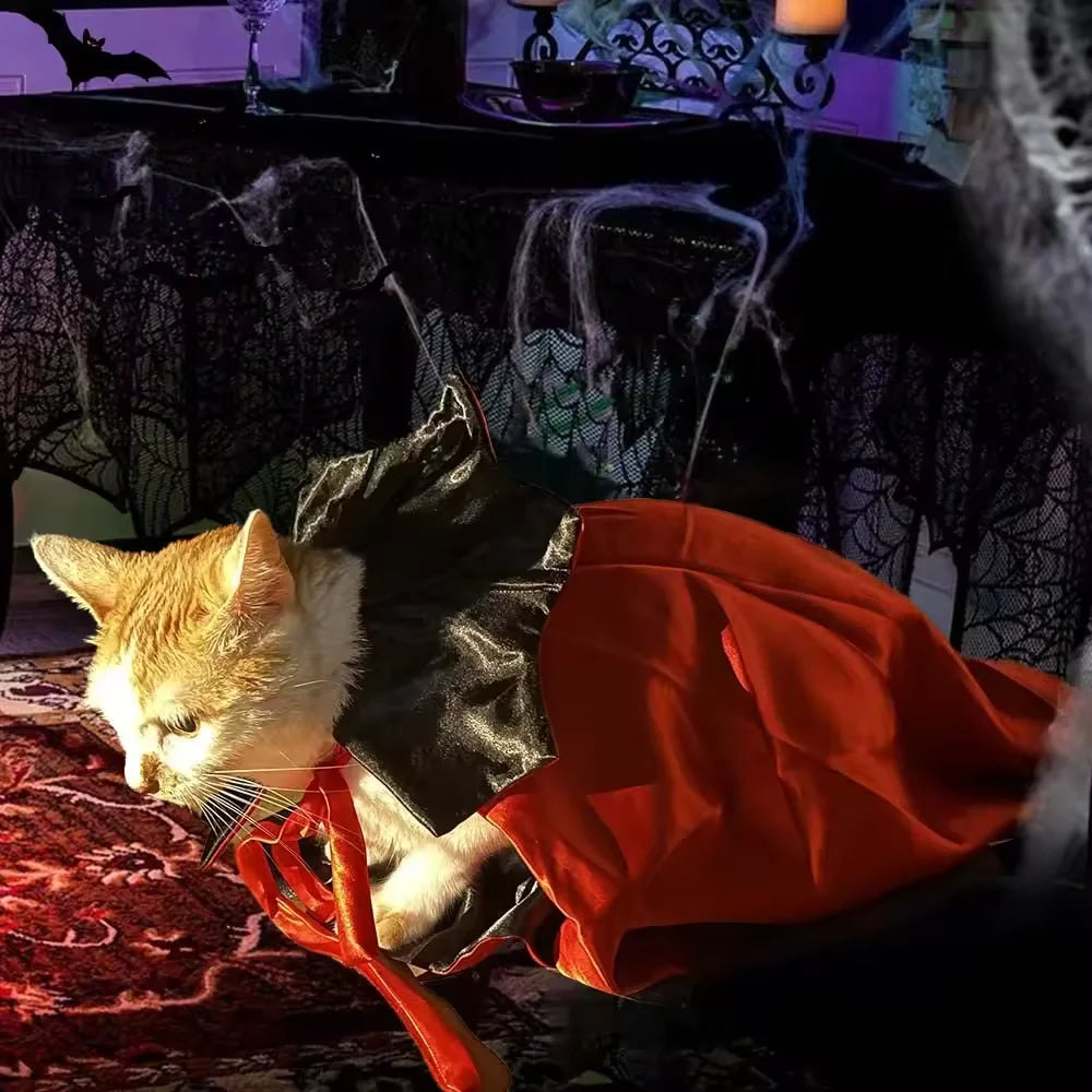 Halloween Costume Pet Vampire