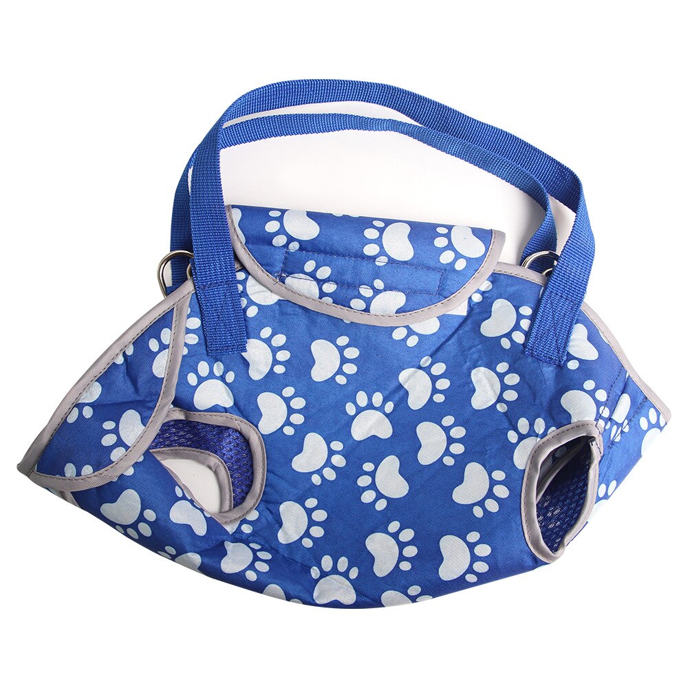 Women Animals Walking Box Supplies