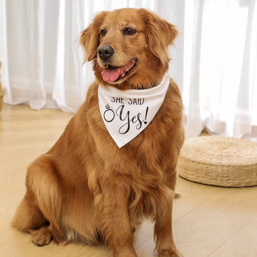 Wedding Bandana My Humans