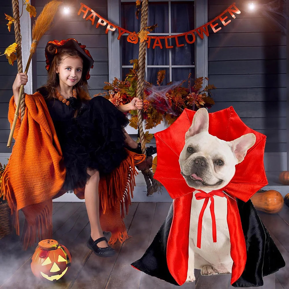 Halloween Costume Pet Vampire