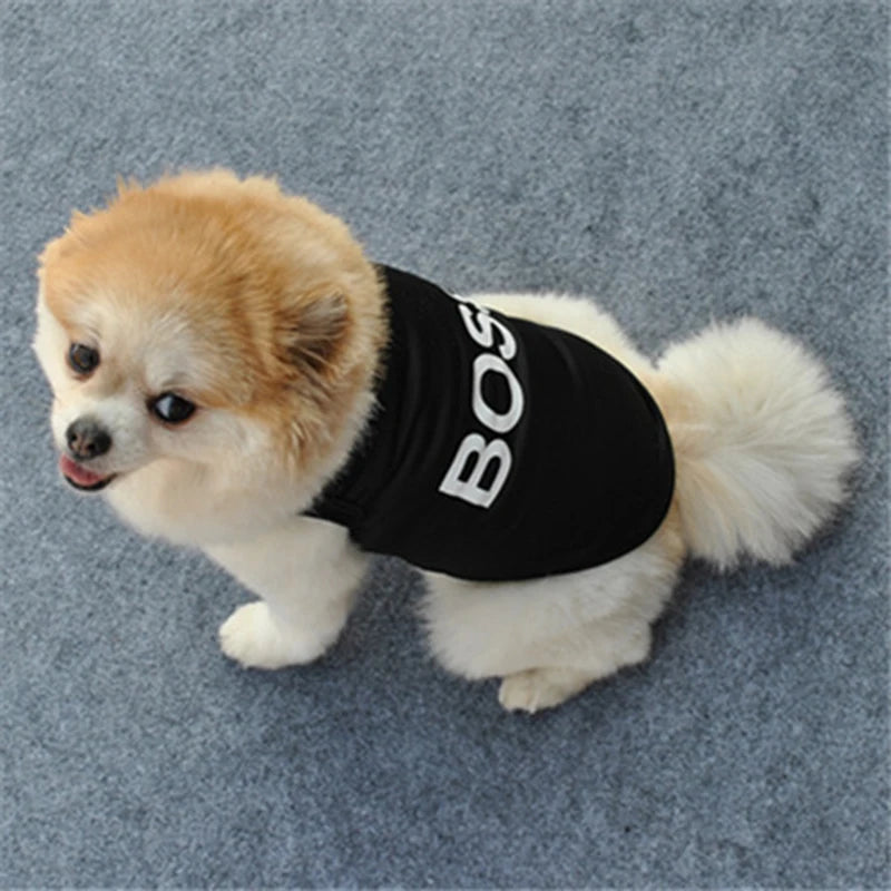 Security Clothing for Dogs