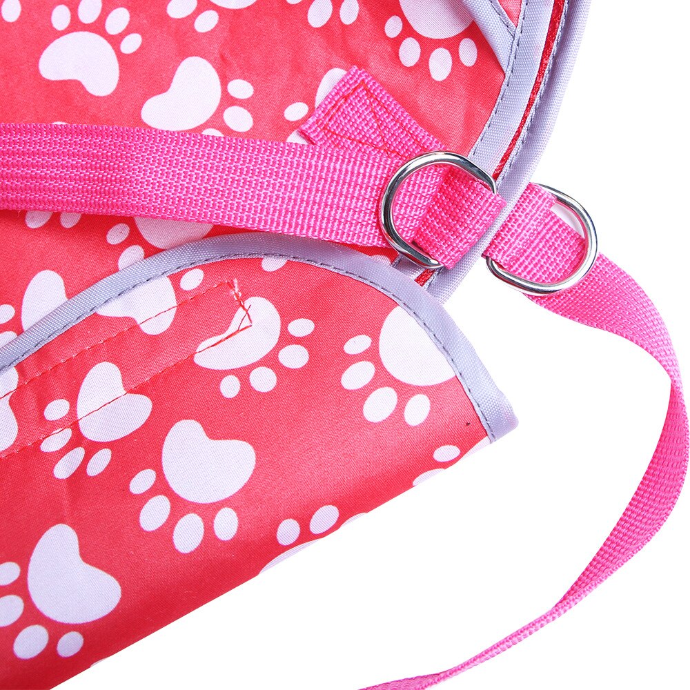 Women Animals Walking Box Supplies