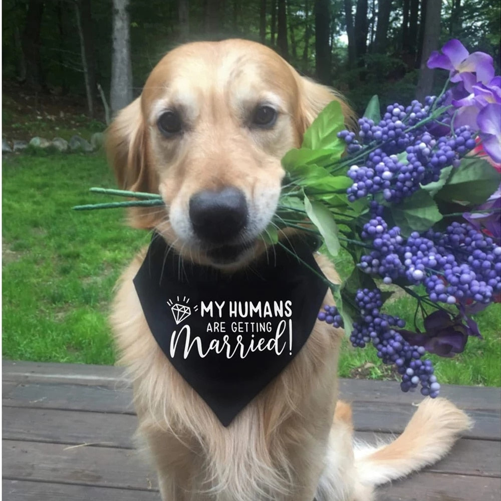 Wedding Bandana My Humans