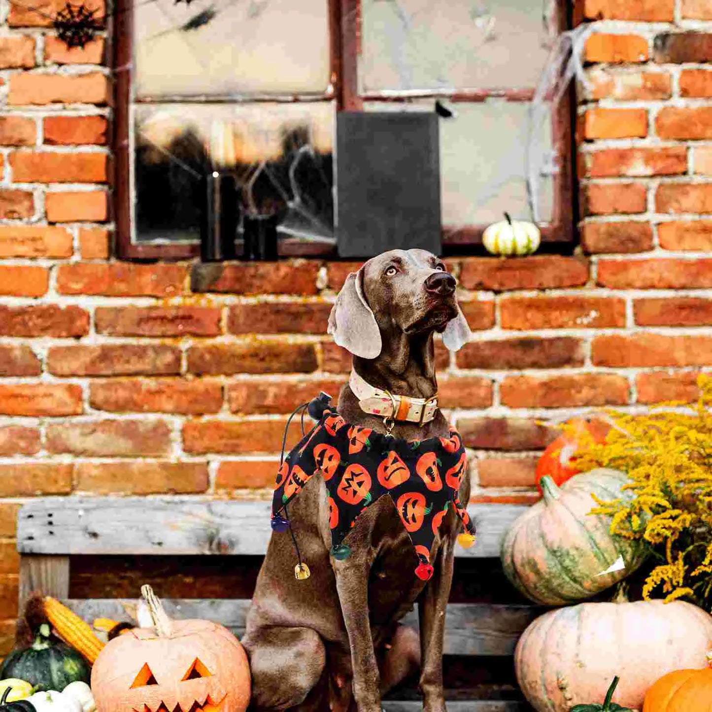Kerchief Metal Bell Pet Decor Party Hathall