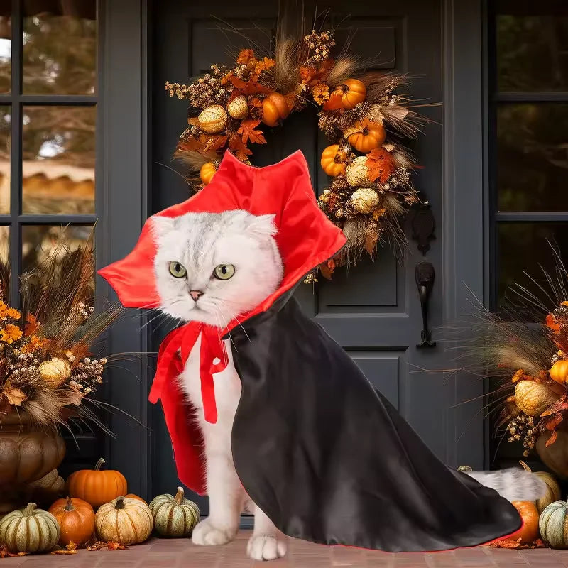 Halloween Costume Pet Vampire