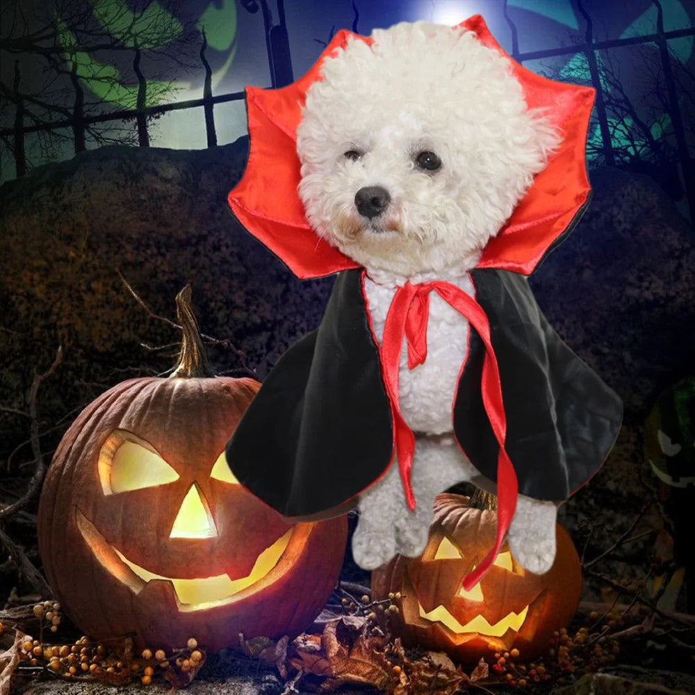 Halloween Costume Pet Vampire