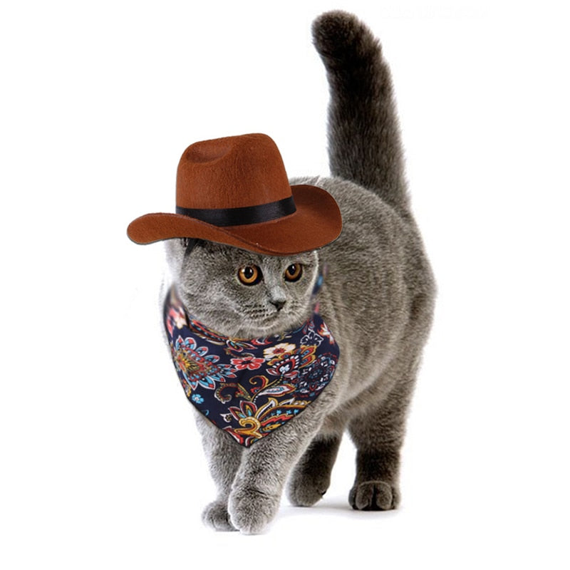 Western Cowboy Hat & Sunglasses