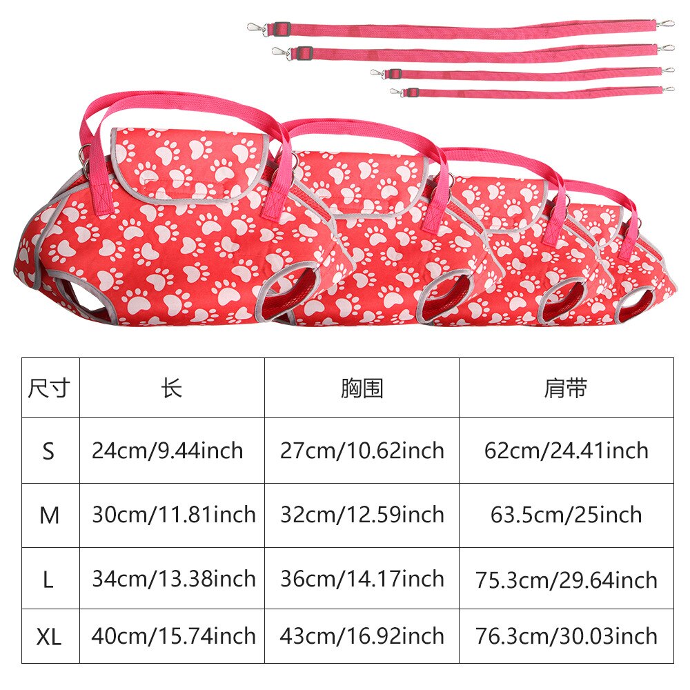 Women Animals Walking Box Supplies