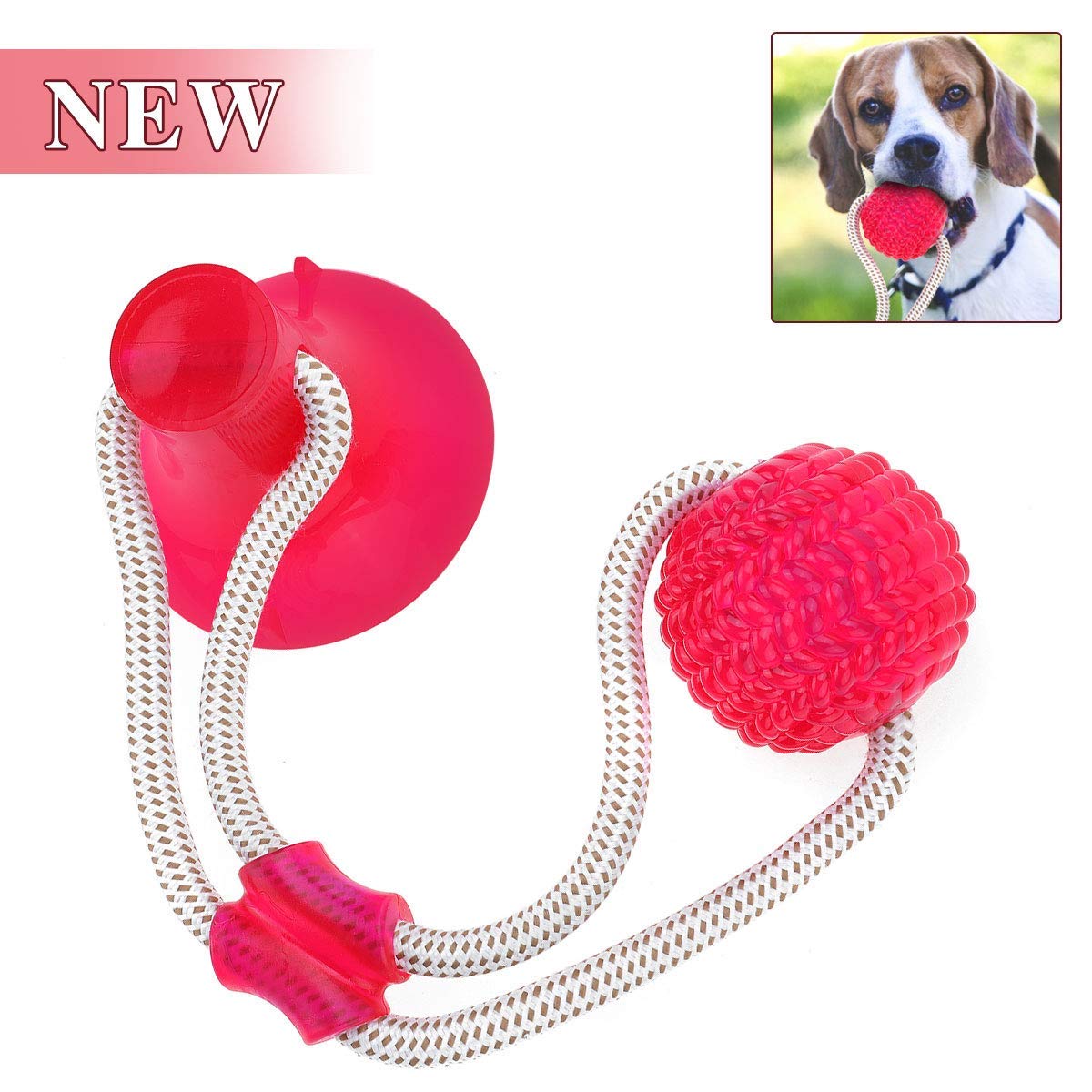 Pet Molar Bite Toy