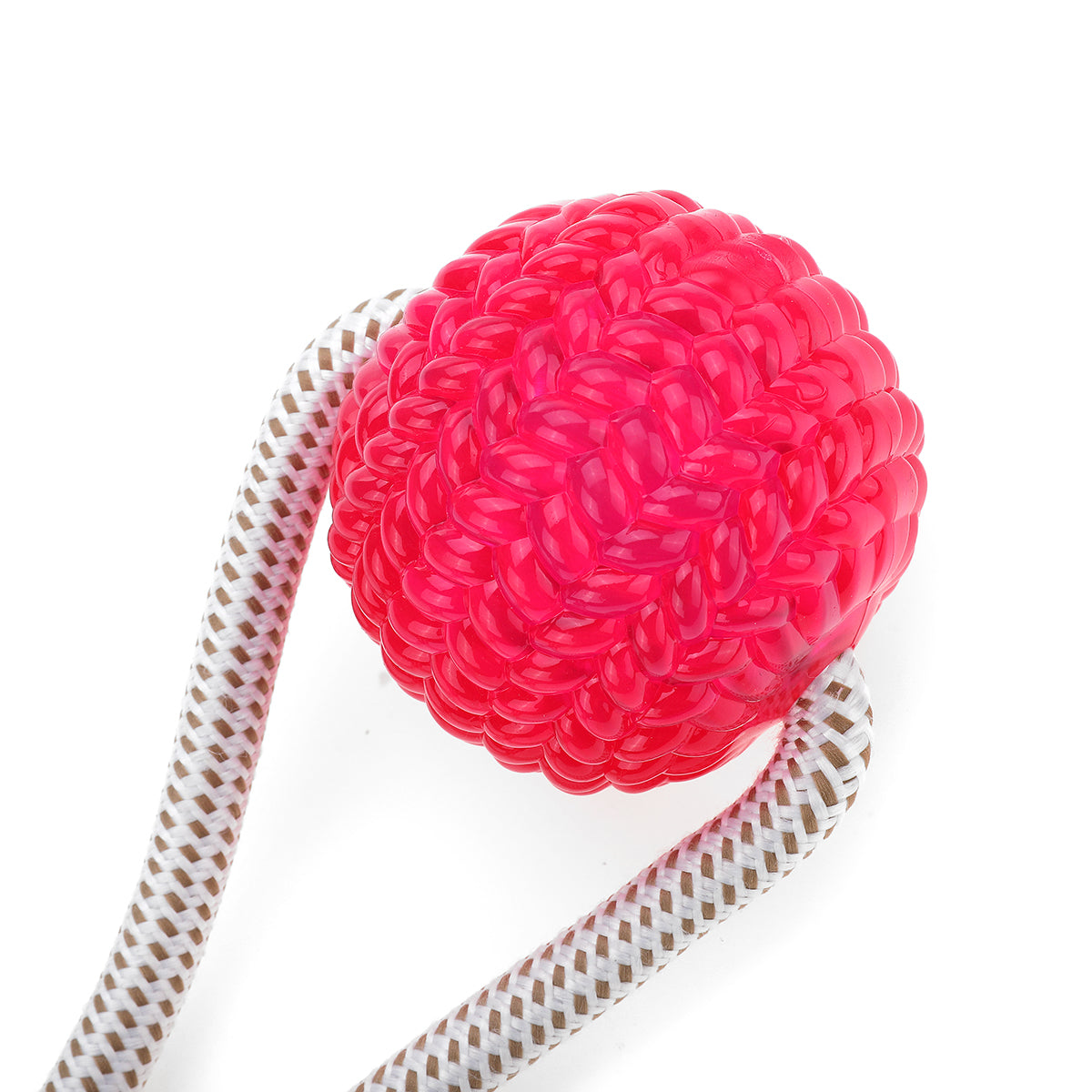 Pet Molar Bite Toy