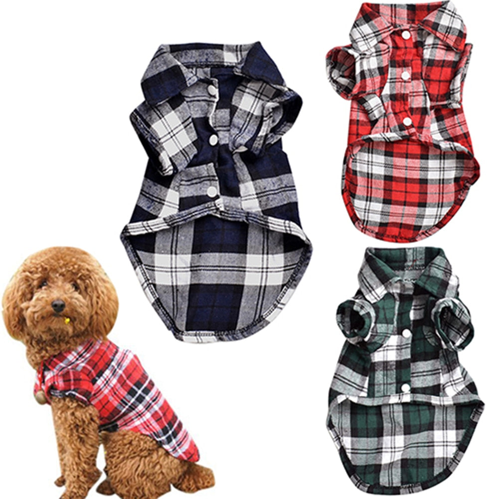 Chihuahua Yorkshire Shirts