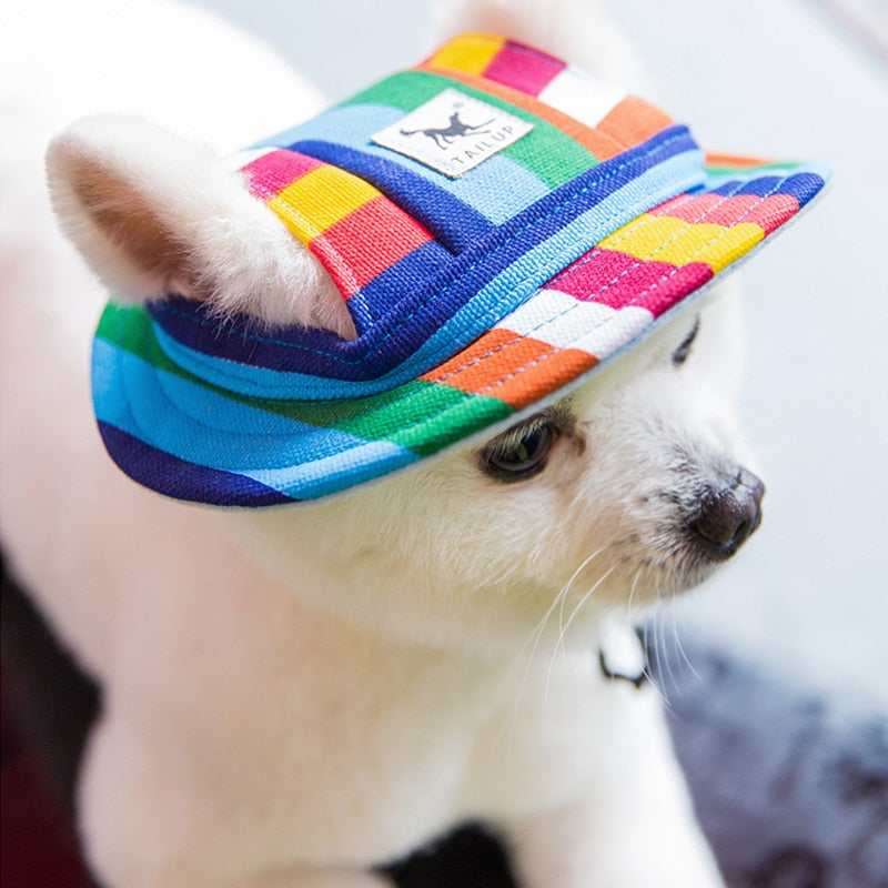 Dog Cap With Ear Holes for Small Dogs