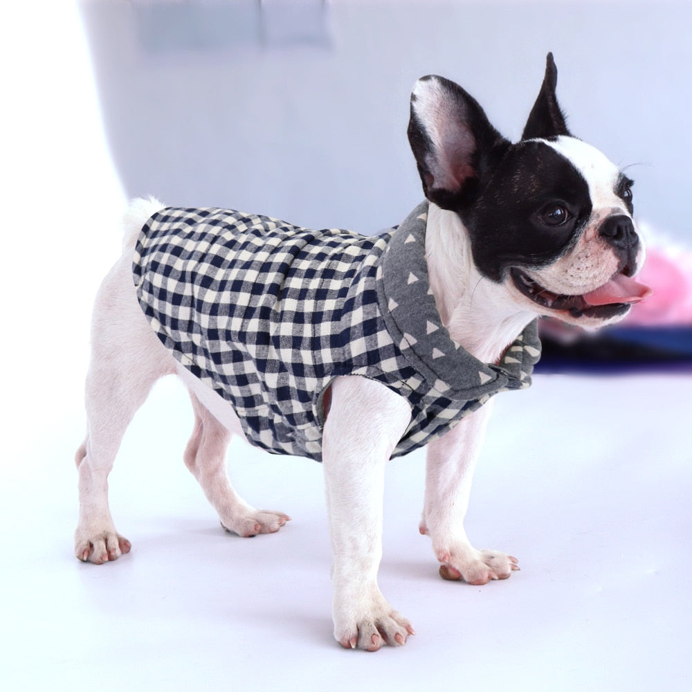 Print French Bulldog Clothes