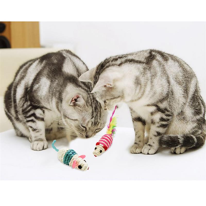 3Pcs/Set Mice Cat Toys