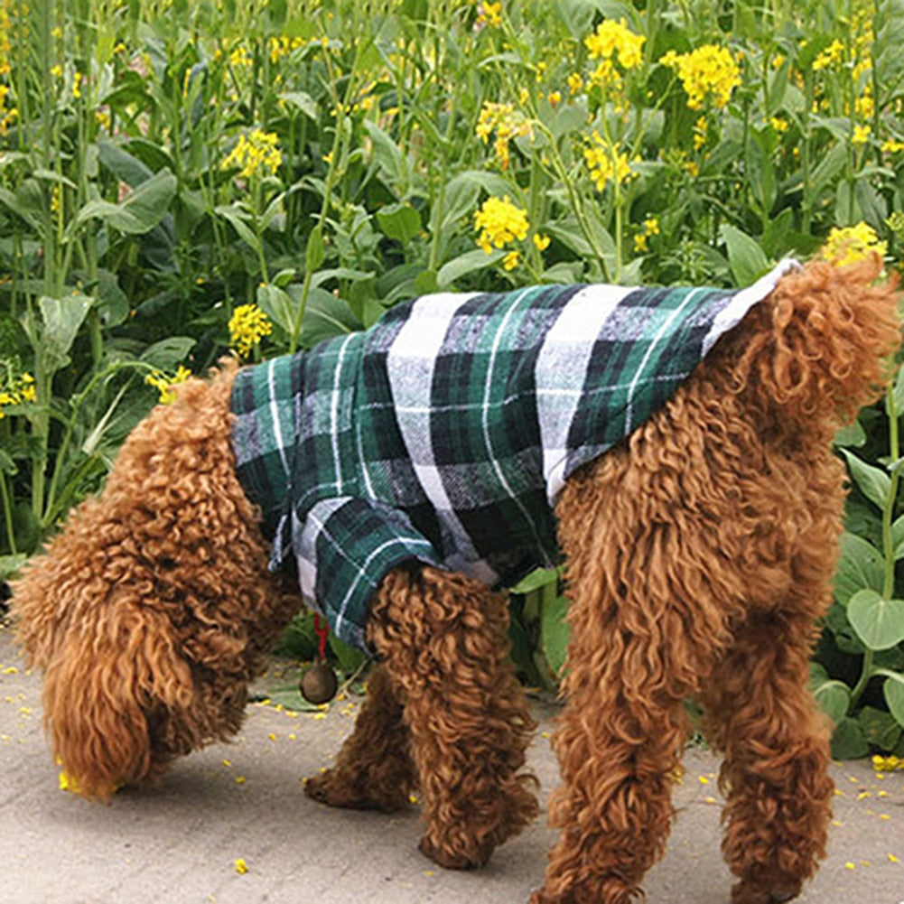 Chihuahua Yorkshire Shirts