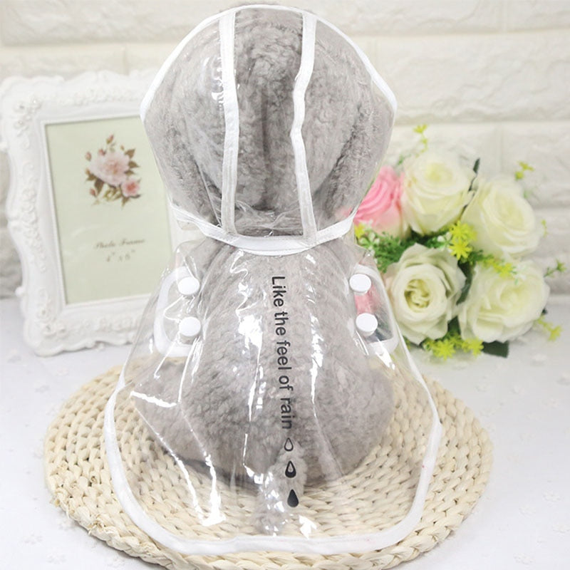 Raincoat Transparent Hoodies