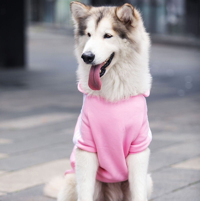 Hoodie Sweater Clothes For Big Dogs