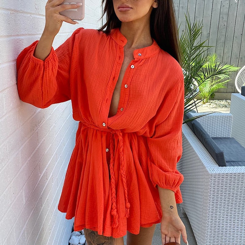 Elegant Straight Long Sleeve Dress