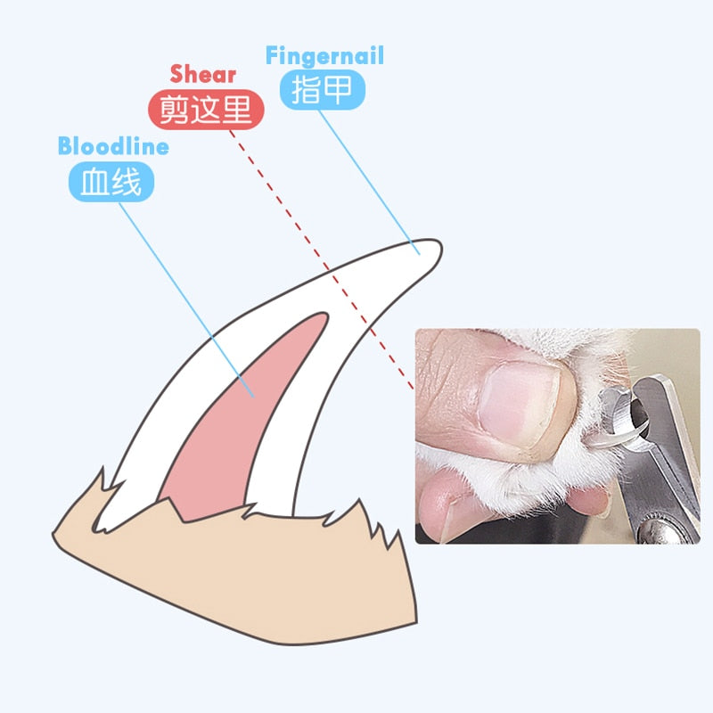 Claw Nail Scissors & Nail Clipper