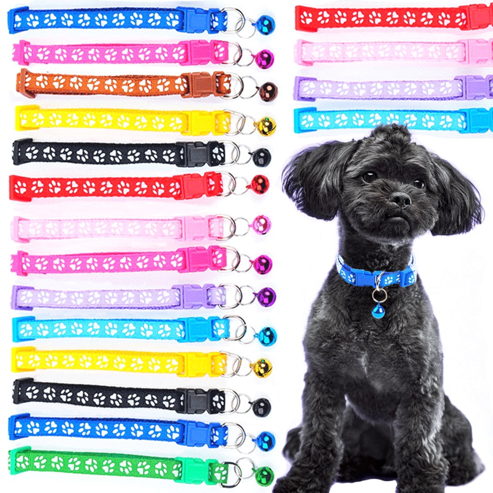 Colorful Adjustable Collar with Bell