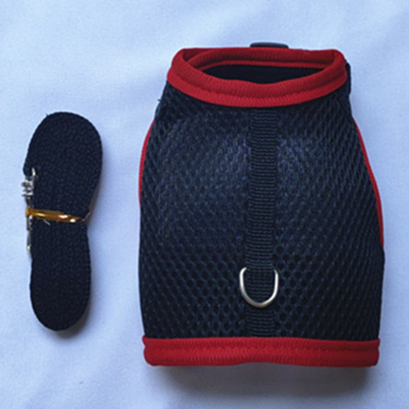 Breathable Comfortable Rabbit Harnesses