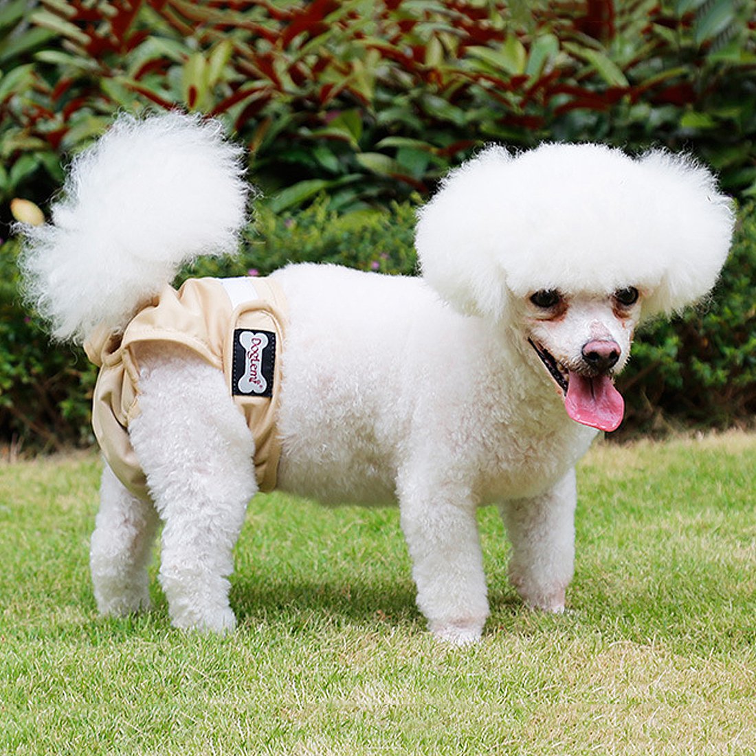 Dog Diaper Shorts for Large Dog