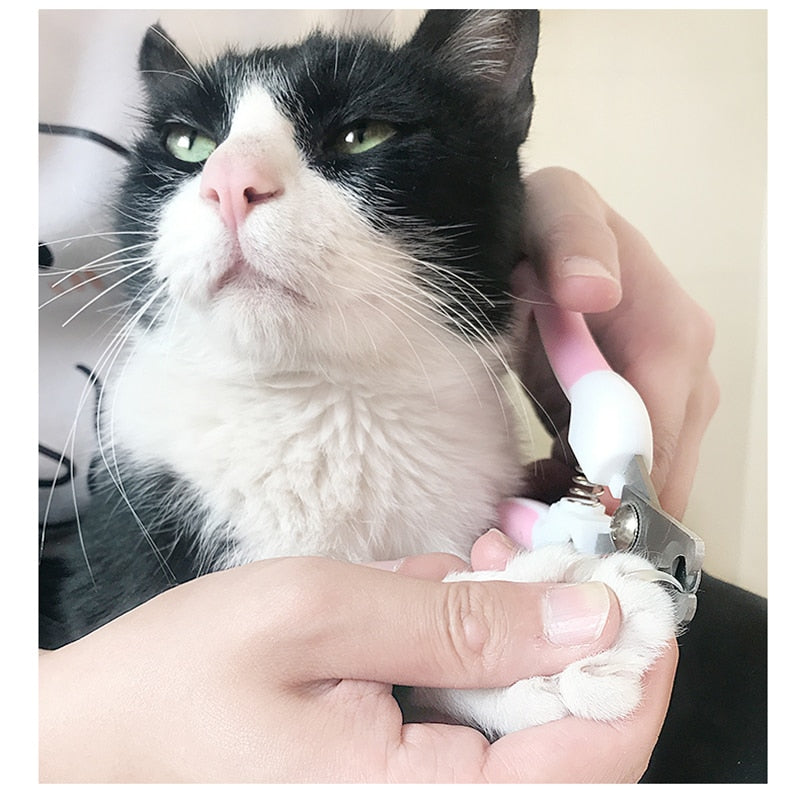 Claw Nail Scissors & Nail Clipper
