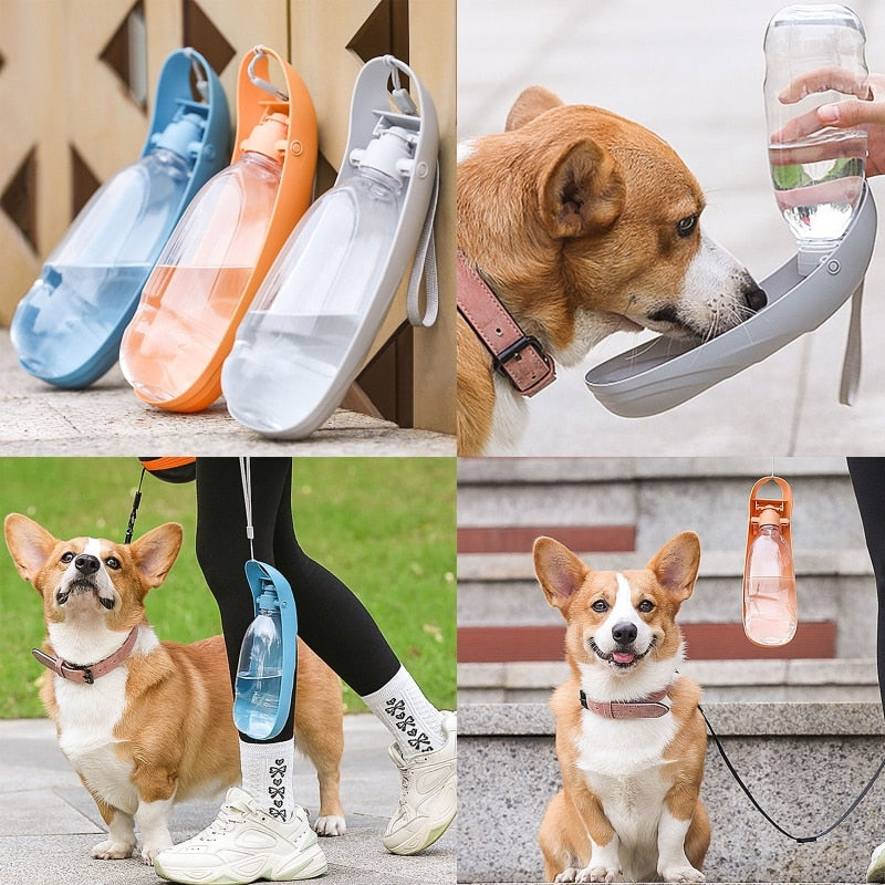 Foldable Pet Water Bottle Bowl