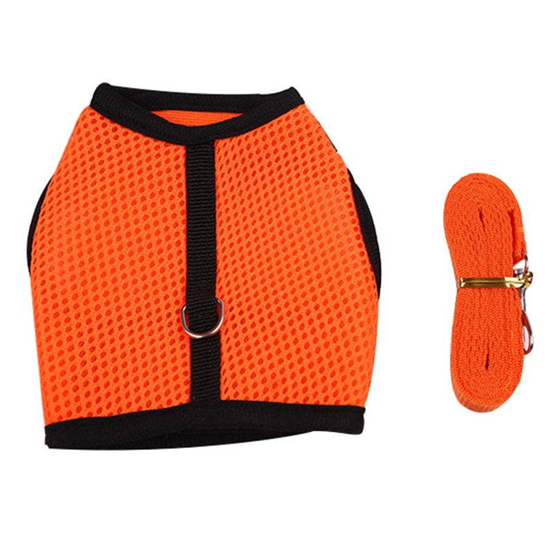 Breathable Comfortable Rabbit Harnesses