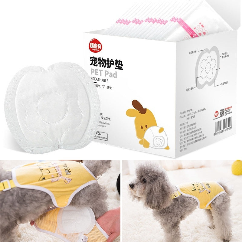 Dog Diaper Shorts for Large Dog