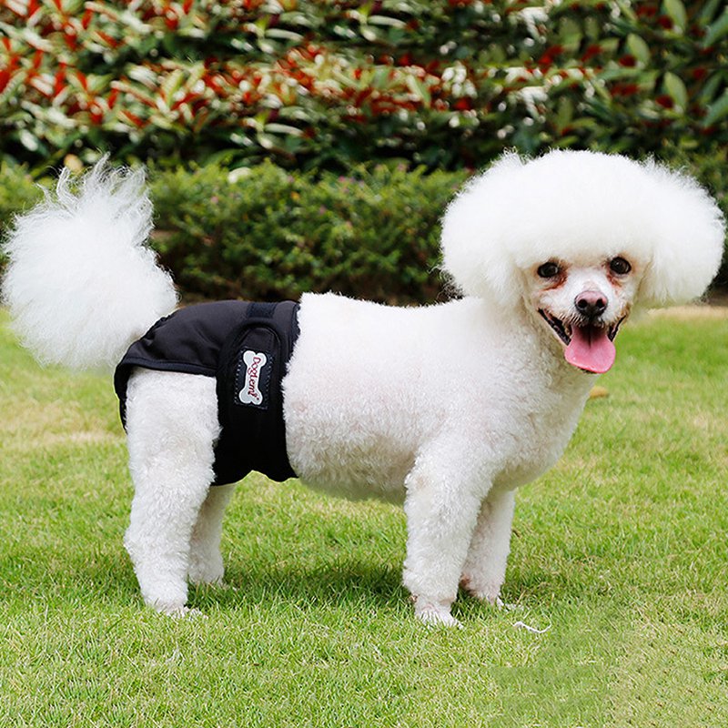 Dog Diaper Shorts for Large Dog