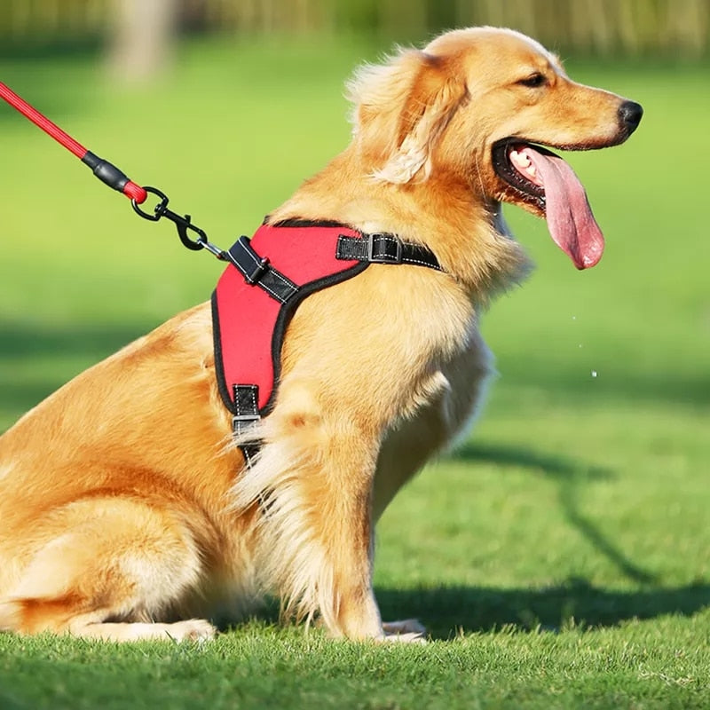 Pet Dog and Cat Adjustable Harness with Leash Reflective