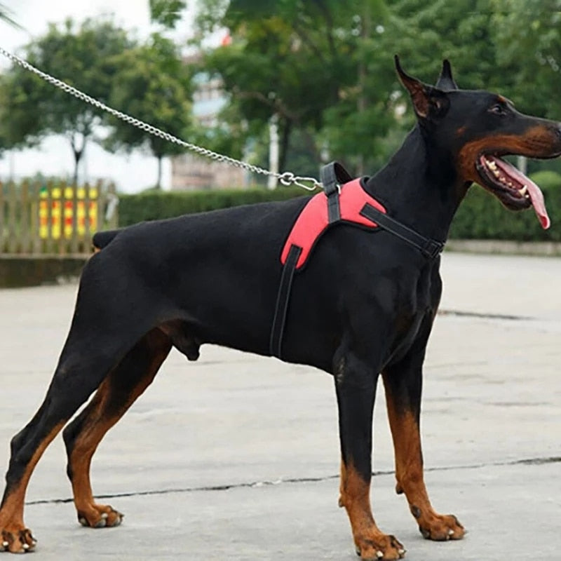 Pet Dog and Cat Adjustable Harness with Leash Reflective