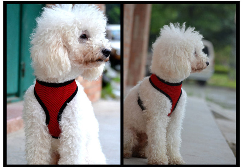 Adjustable Vest Walking Lead Leash
