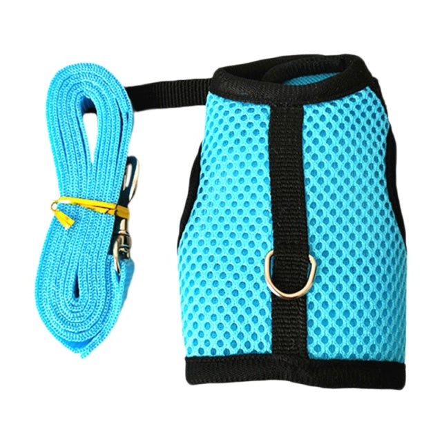 Rabbit Harnesses Vest Leashes Set