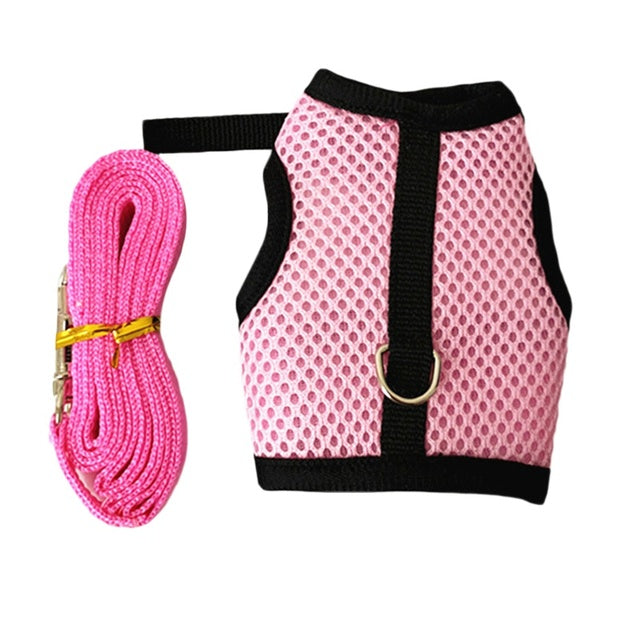 Rabbit Harnesses Vest Leashes Set