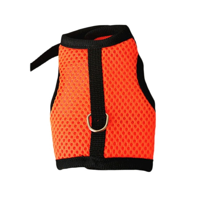 Rabbit Harnesses Vest Leashes Set