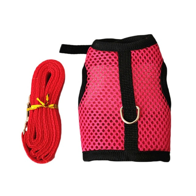 Rabbit Harnesses Vest Leashes Set