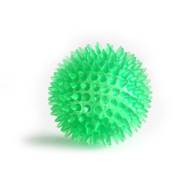 Small Dog Pets Chewing Toy