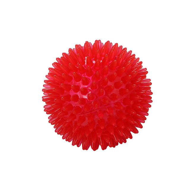 Small Dog Pets Chewing Toy