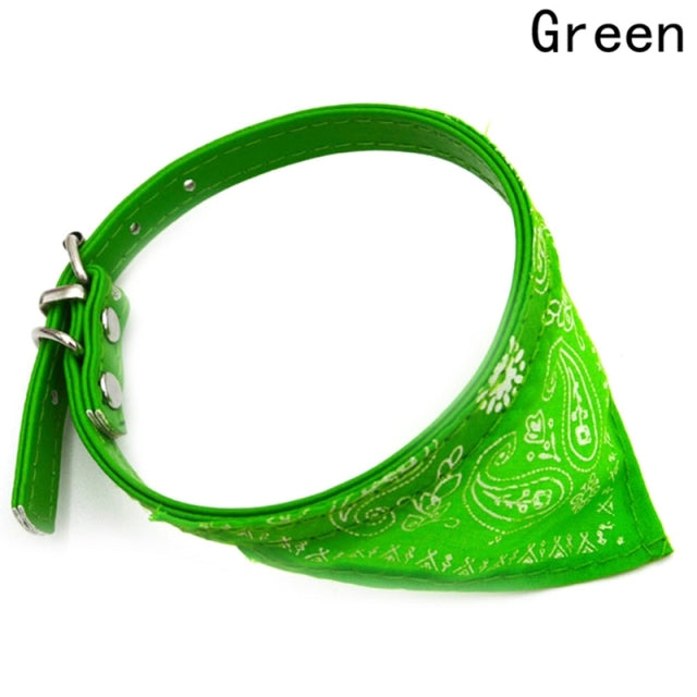 Bandana collar