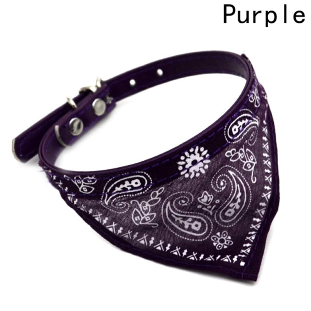 Bandana collar