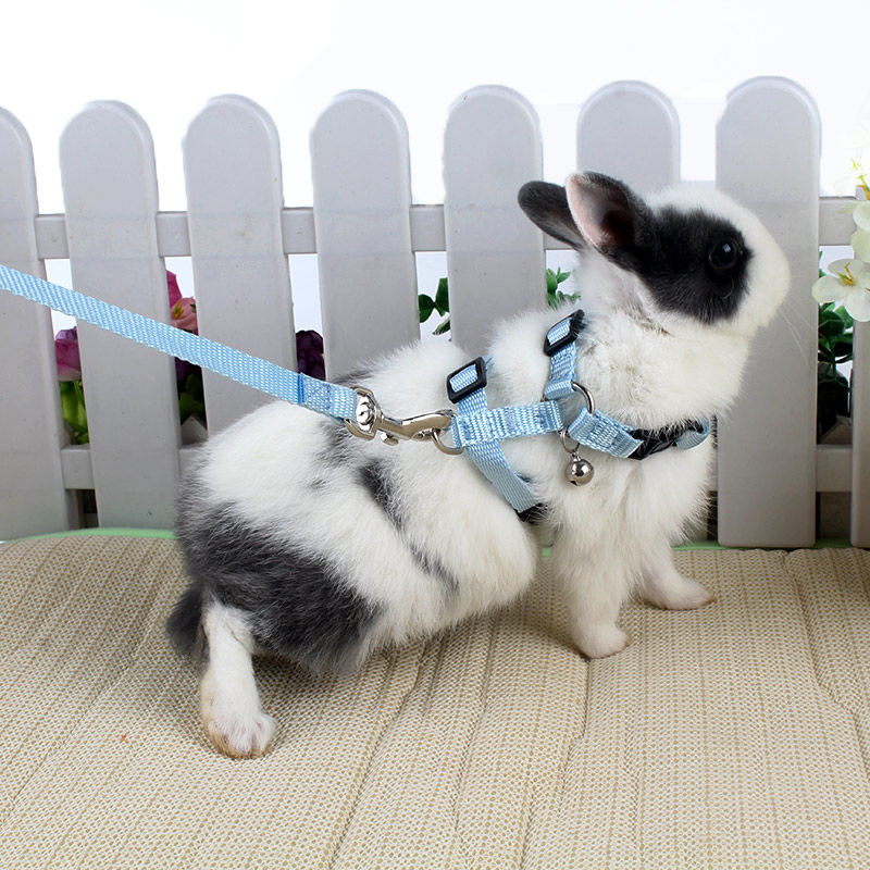 Adjustable Rabbit Harness Soft Small Pet Hamster Leash