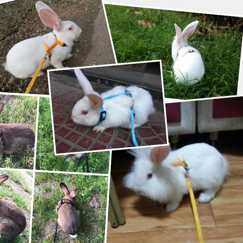 Adjustable Rabbit Harness Soft Small Pet Hamster Leash