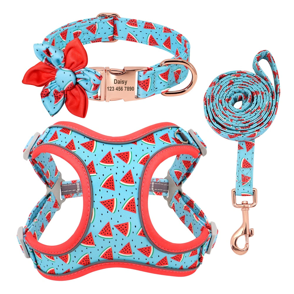 Custom Printed Dog Collar Leash Set Personalized