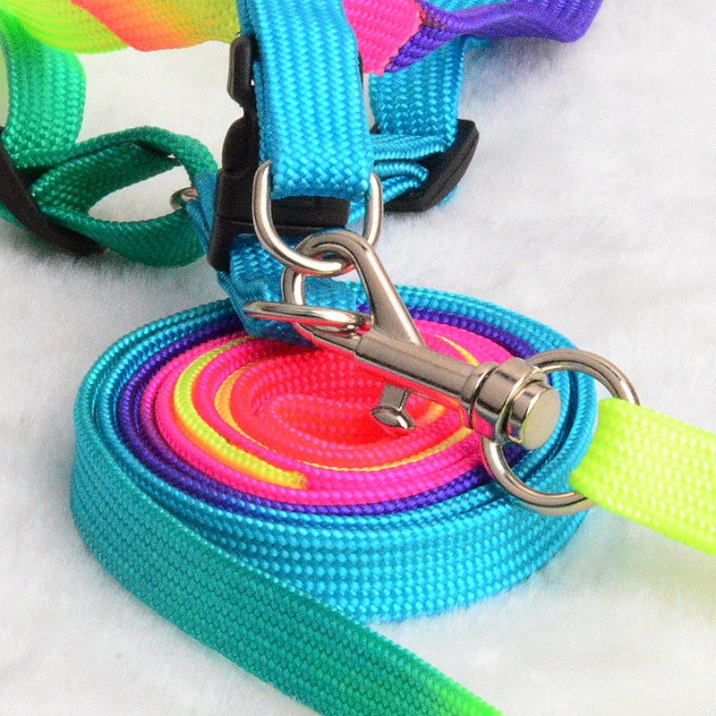 Colorful Rainbow Harness Leash