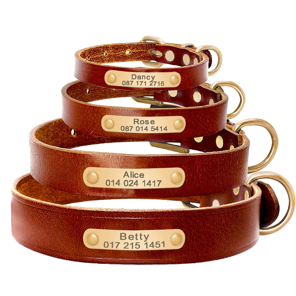 Personalized Dog ID Collar Genuine Leather