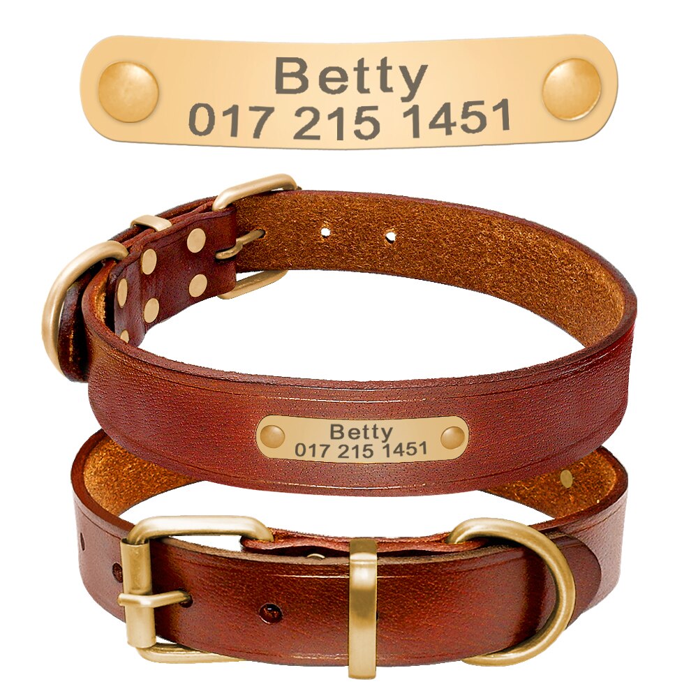 Personalized Dog ID Collar Genuine Leather