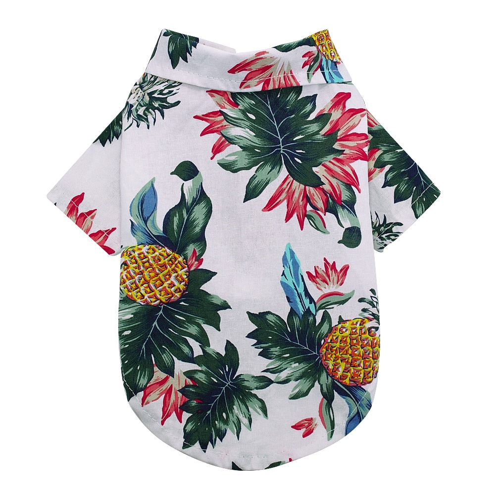 Hawai Spring Summer Clothes