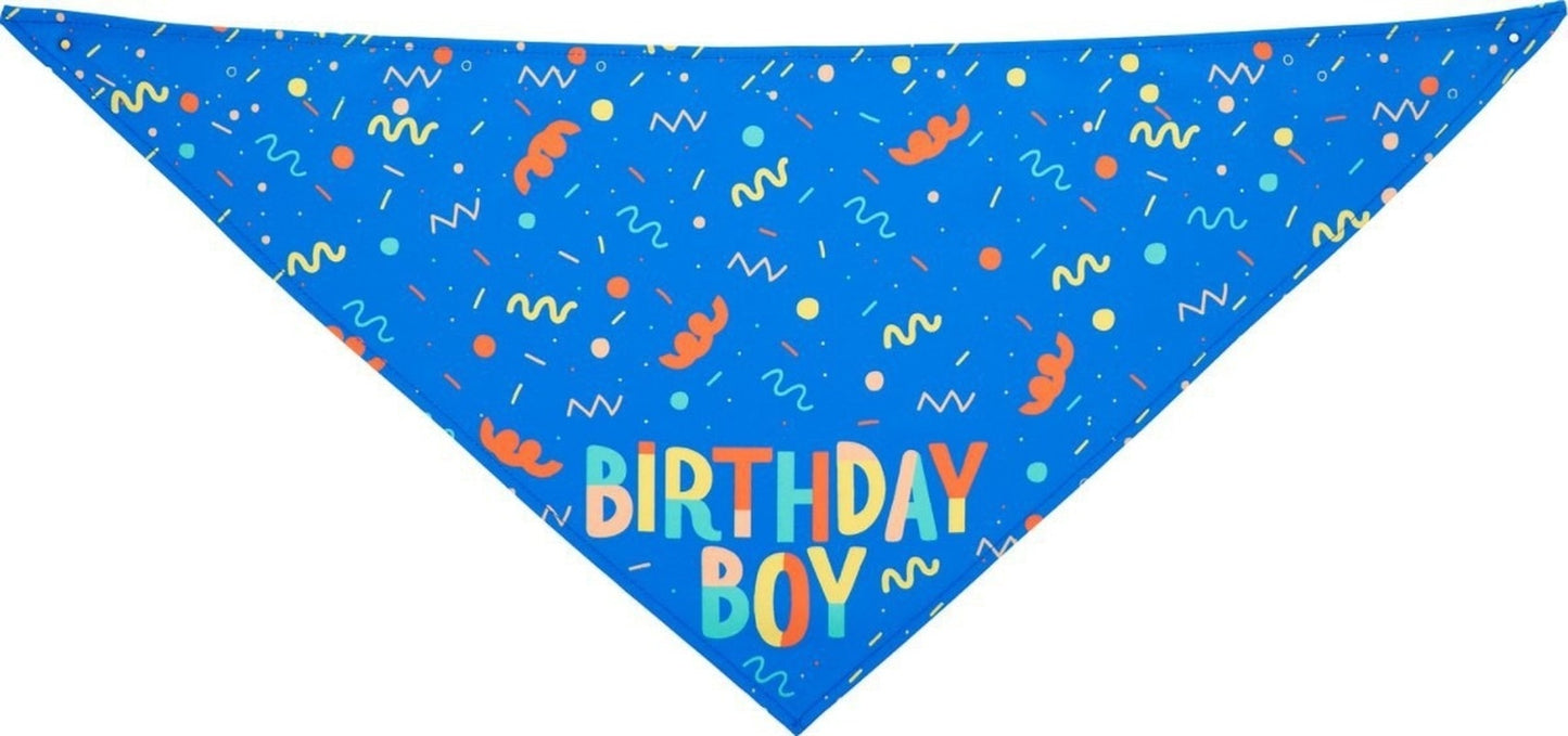 New Pet Triangle Scarf Bone Birthday Suit